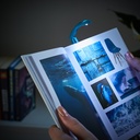 SharePoint Image