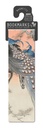 SharePoint Image