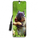 CHIPMUNK  