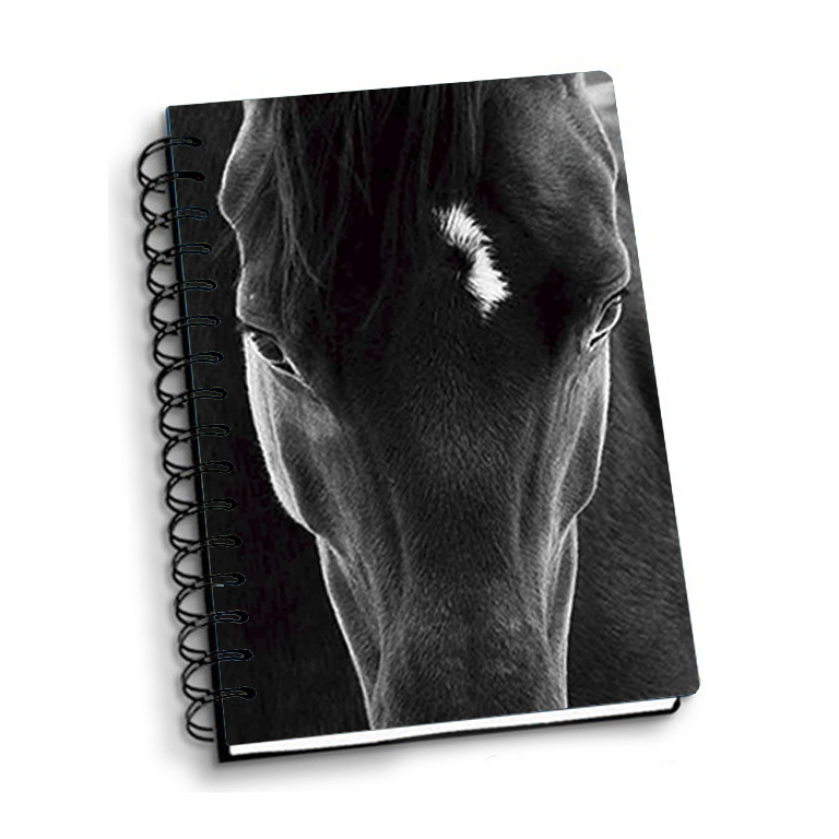 NOTEBOOK 3D A5 BLACK HORSE 