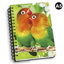 NOTEBOOK 3D A5 PARAKEET 