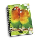 NOTEBOOK 3D A6 PARAKEET 