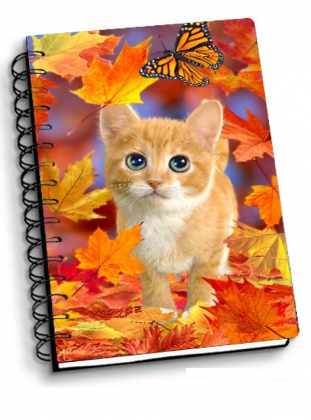 NOTEBOOK FALL KITTEN 