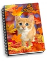 NOTEBOOK FALL KITTEN 