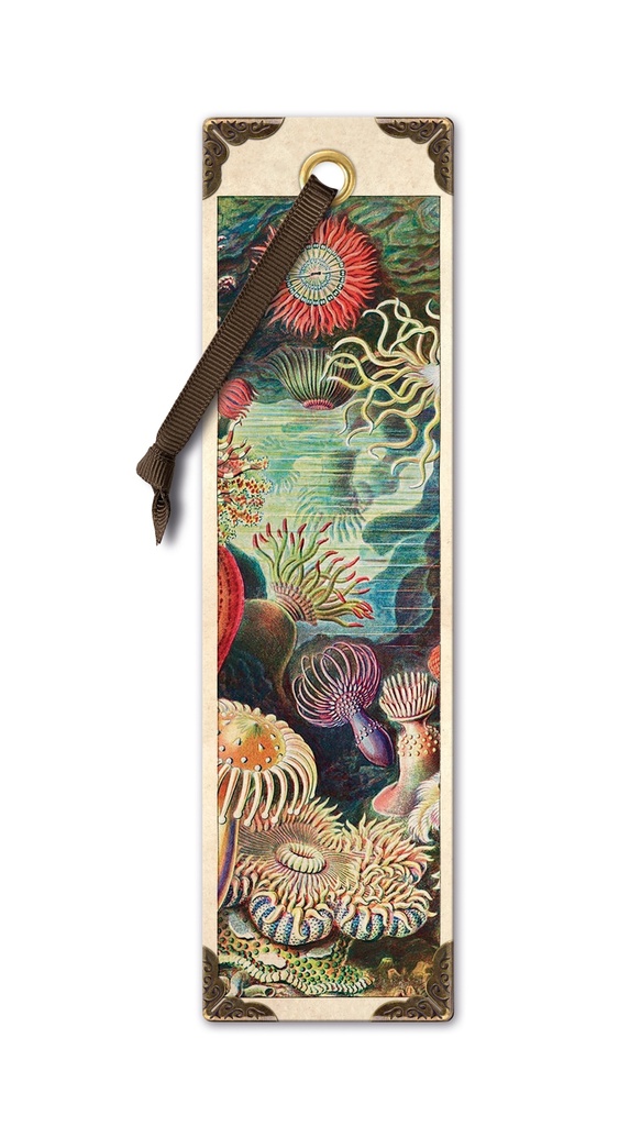VINTAGE BOOKMARKS ANEMONES 