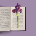 Flower Bookmarks - Painted Iris