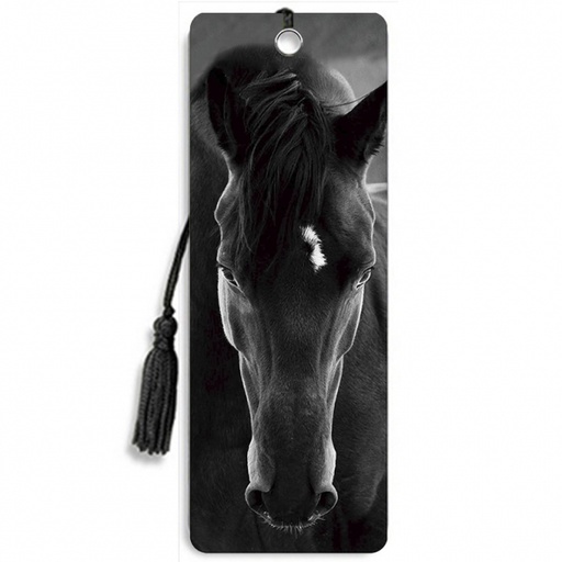 [ABK010] BLACK HORSE 