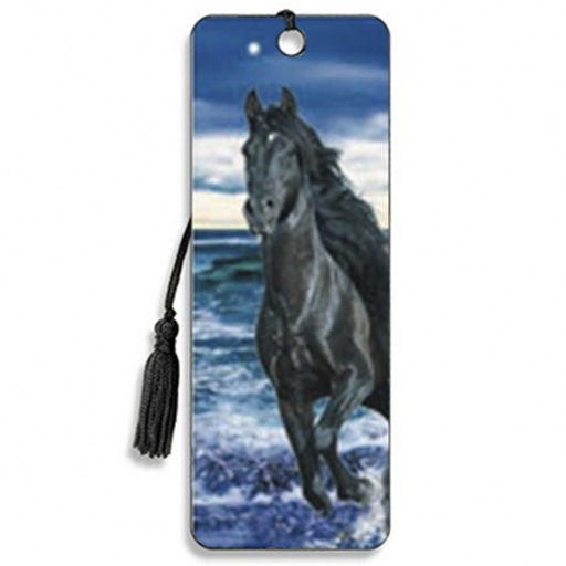 [ABK005] BLACK HORSE BEACH 