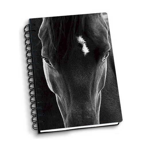 [ANBB004] NOTEBOOK 3D A5 BLACK HORSE 