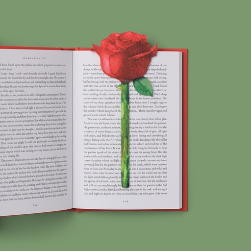 [IF16504] Flower Bookmarks - Painted Rose